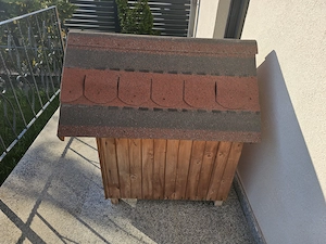 Cotet caine lemn solid