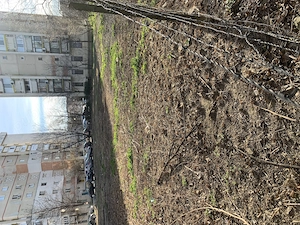 Teren de închiriat Iași Nicolina - imagine 5