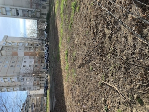 Teren de închiriat Iași Nicolina - imagine 3