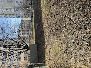 Teren de închiriat Iași Nicolina - imagine 2