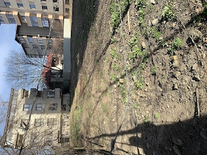 Teren de închiriat Iași Nicolina - imagine 6