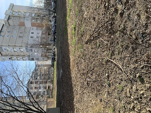 Teren de închiriat Iași Nicolina