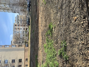 Teren de închiriat Iași Nicolina - imagine 4