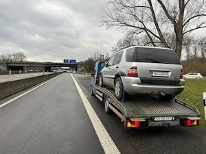 Auto Platformă  - imagine 4