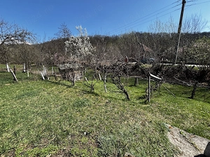 Casă și teren de vânzare . - imagine 3