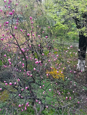 Ap. 3 camere, Ctin. Brancoveanu, decomandat, de vanzare