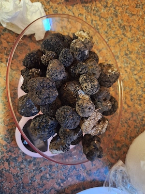  Vand caine dresat pentru  si trufe proaspete de sezon  - imagine 5