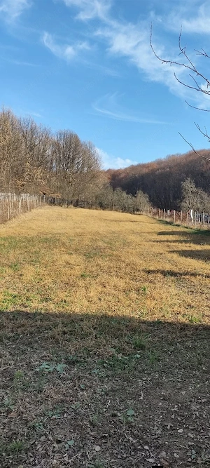 Case si terenuri la țară.  - imagine 3