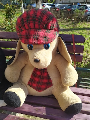 oferta vind urs mare de plus si catel mare de plus  50 lei