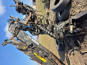 Macara forestiera - imagine 5