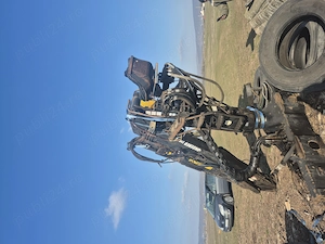 Macara forestiera - imagine 2