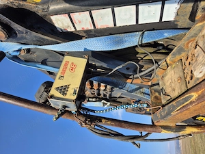 Macara forestiera - imagine 4