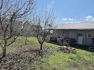 Teren intravilan de vanzare - imagine 3