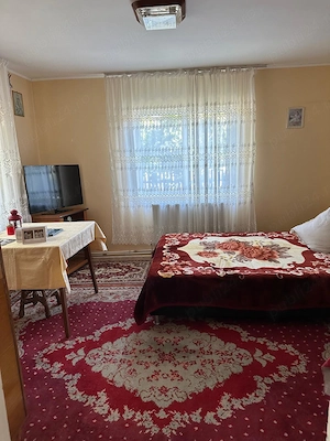 Proprietate completă la țară   casă 4 dormitoare + spațiu comercial - imagine 5