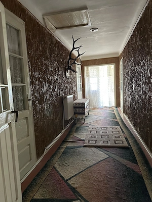 Proprietate completă la țară   casă 4 dormitoare + spațiu comercial - imagine 4