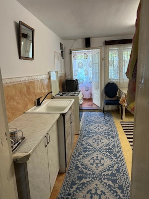 Proprietate completă la țară   casă 4 dormitoare + spațiu comercial - imagine 9