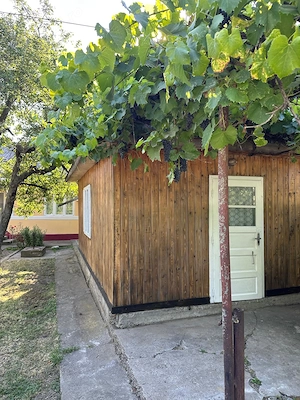 Proprietate completă la țară   casă 4 dormitoare + spațiu comercial - imagine 10