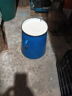 Untură de porc, de curte