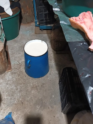 Untură de porc, de curte