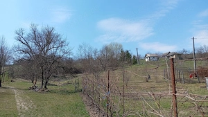 Casa de vanzare, Cotmeana, Arges, 6772 mp. 25km Pitesti - imagine 8
