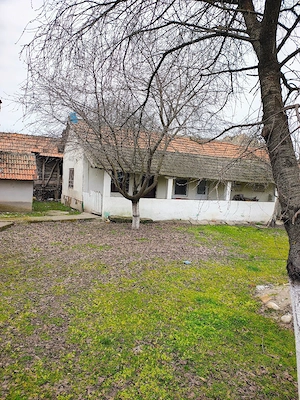 vamd casa  - imagine 3