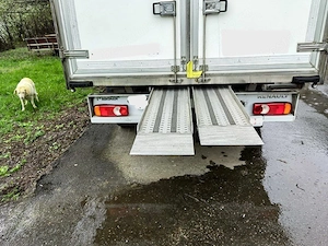 Master 2021 Box Cub - imagine 7