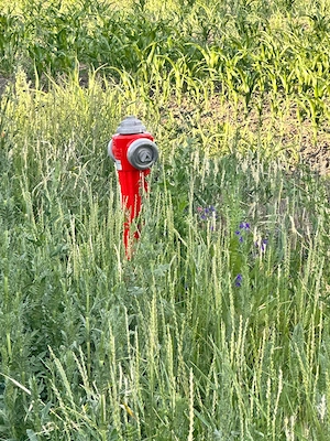 OPORTUNITATE! Teren 9.100 mp Răcari Dambovita ideal parcelare 12-18 loturi case, utilități - imagine 6