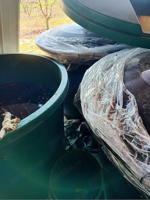 Vand borhot de prune - imagine 4