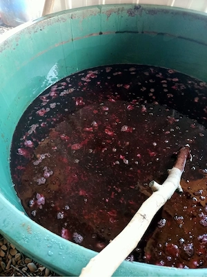 Vand borhot de prune - imagine 5