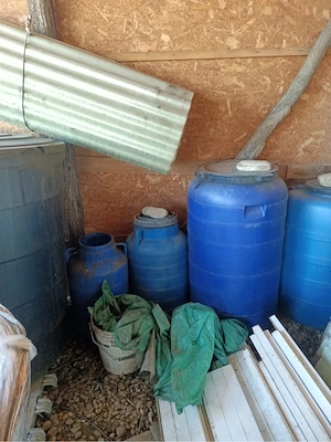 Vand borhot de prune - imagine 3