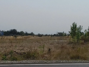 Vand teren intravilan zona Peugeot Citroen loc Pielești km 10  - imagine 3