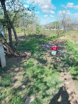 Vand un teren extratabular pe dealul Viilor in Oradea  - imagine 4