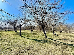 Casa de vanzare  - imagine 9