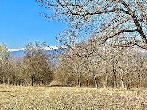 Casa de vanzare  - imagine 10