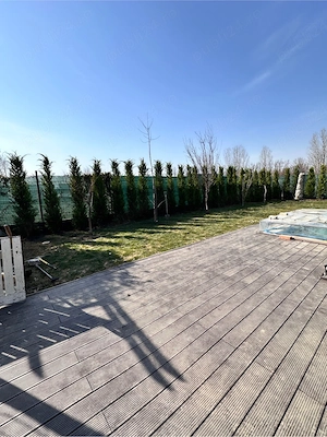 vând și montez gazon și Leyland oriunde în țară  