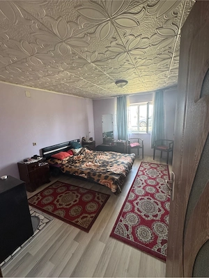 Vand casa Comuna Carpinis Judet Timis - imagine 5