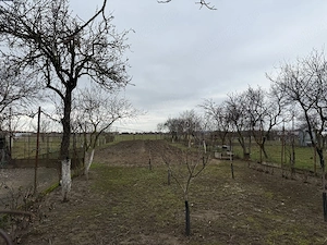 Casă de vânzare în Sabolciu  - imagine 5