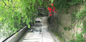 Teren 3000 mp + casă bătrânească | 2 loturi | livadă pruni | aproape A7 | Fulga de Jos