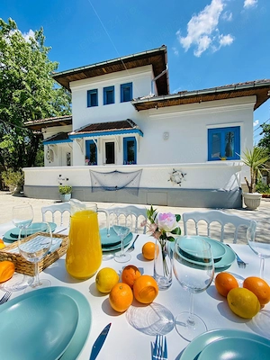 De închiriat vilă deosebită   ideală pentru activități comerciale - imagine 2