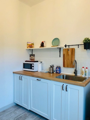 De închiriat vilă deosebită   ideală pentru activități comerciale - imagine 8