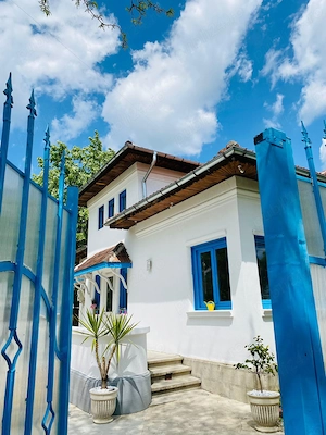 De închiriat vilă deosebită   ideală pentru activități comerciale - imagine 10