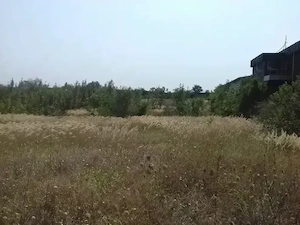 Vand teren intravilan zona Peugeot Citroen loc Pielești km 10  - imagine 4
