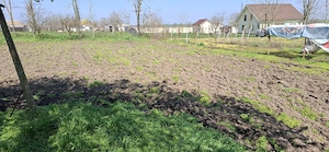 Casa Ciocarlia 100 mp + 1600 mp curte - imagine 13