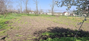 Casa Ciocarlia 100 mp + 1600 mp curte - imagine 12