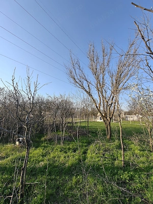 Vând teren 600mp in Bucov, Prahova (cu acte) aproape de pădure   ZOO