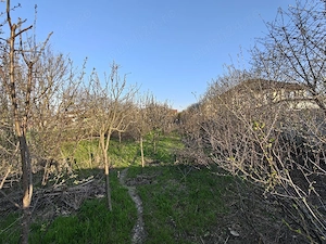 Vând teren intravilan in Bucov, PH, aproape de gradina ZOO, cartier Mica Roma