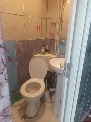 Ofer spre inchiriere camera de camin zona astra - imagine 3