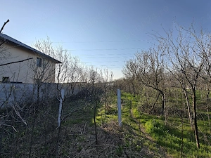 Teren intravilan Bucov, cartier Mica Romă, de vanzare  - imagine 2