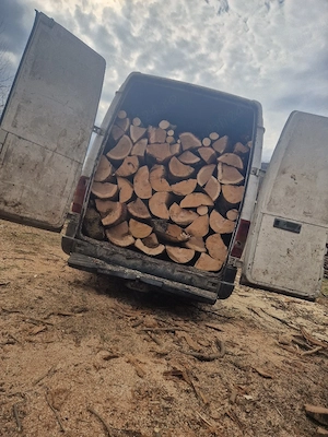 vând lemne de foc  - imagine 2