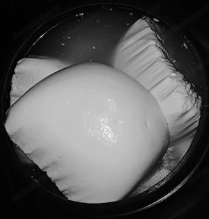 De vânzare mieii de Paști si brânza de capra Mofleni dolj - imagine 3